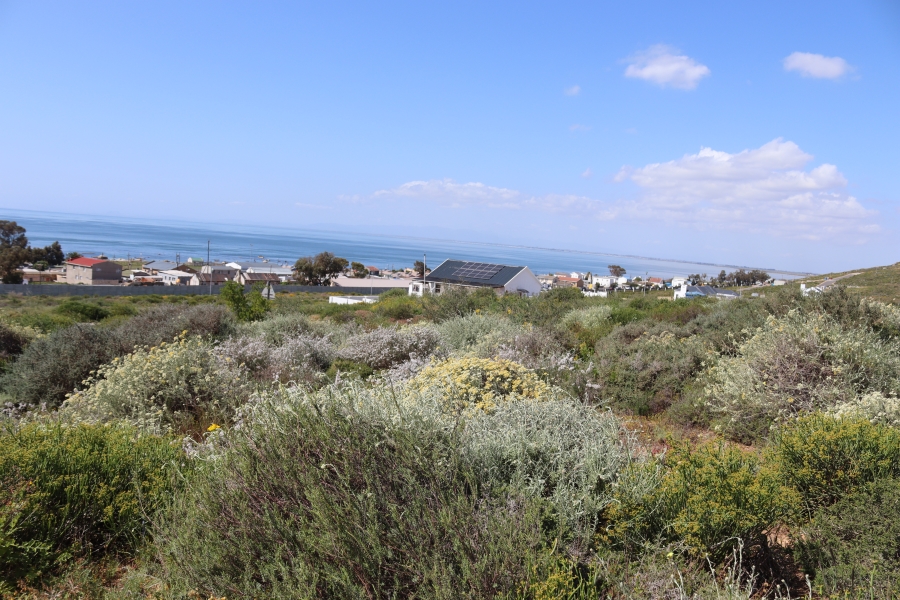 0 Bedroom Property for Sale in Steenbergs Cove Western Cape